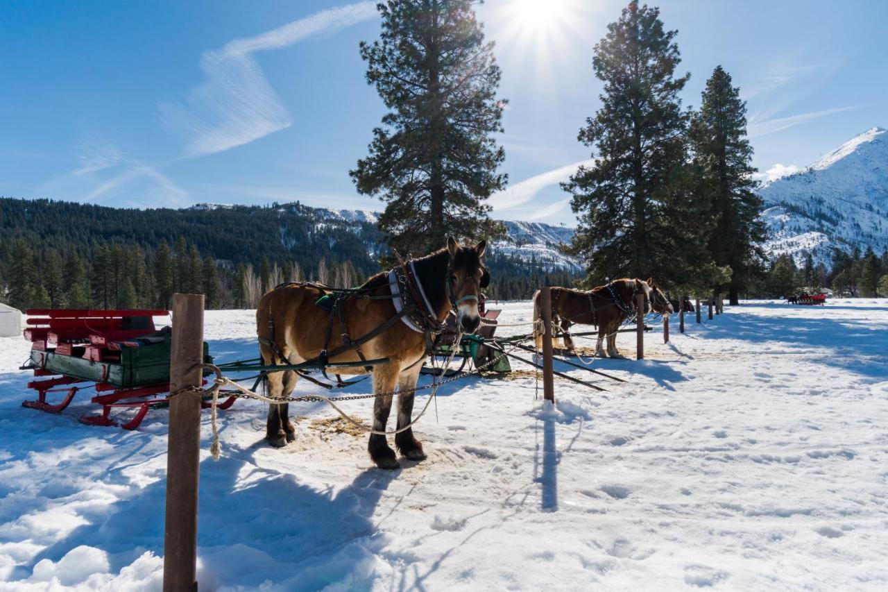 Aspen Suites 506: The Nest Leavenworth Zewnętrze zdjęcie